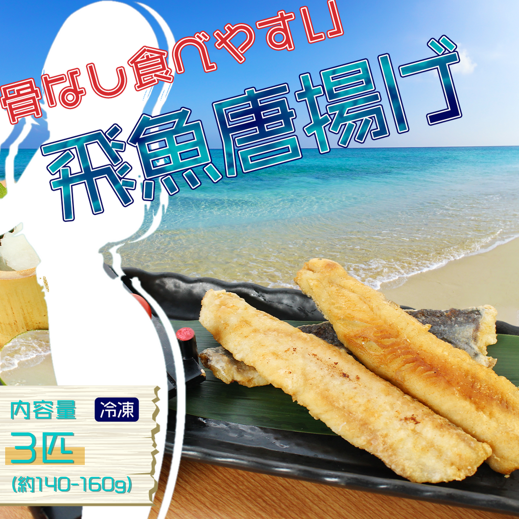 登録だけ・飛魚唐揚げ