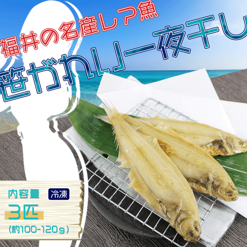 笹ガレイ一夜干し - 魚魚魚