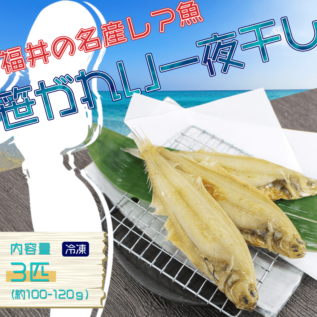 笹ガレイ一夜干し - 魚魚魚