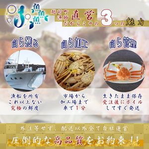 セイコガニ(全３種)