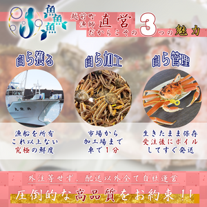 越前がに・足折(お好きな量をお選び頂けます！)