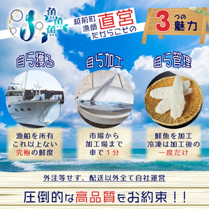 登録だけ・飛魚フライ