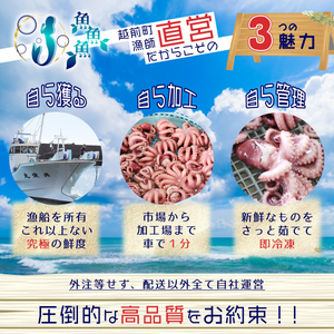 水タコ(ボイル済)