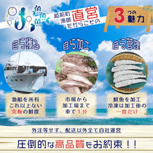 画像をギャラリービューアに読み込む, めぎすのフライ - 魚魚魚
