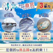 画像をギャラリービューアに読み込む, スルメイカ一夜干し - 魚魚魚
