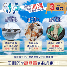 画像をギャラリービューアに読み込む, 甘辛塩イカ - 魚魚魚
