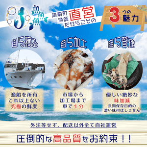 甘辛塩イカ - 魚魚魚
