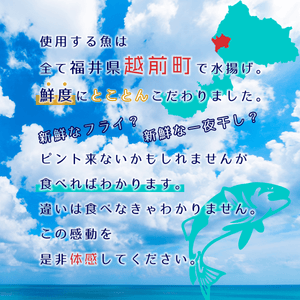 スルメイカ一夜干し - 魚魚魚