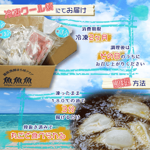 笹ガレイ唐揚げ - 魚魚魚