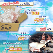 画像をギャラリービューアに読み込む, スルメイカ一夜干し - 魚魚魚
